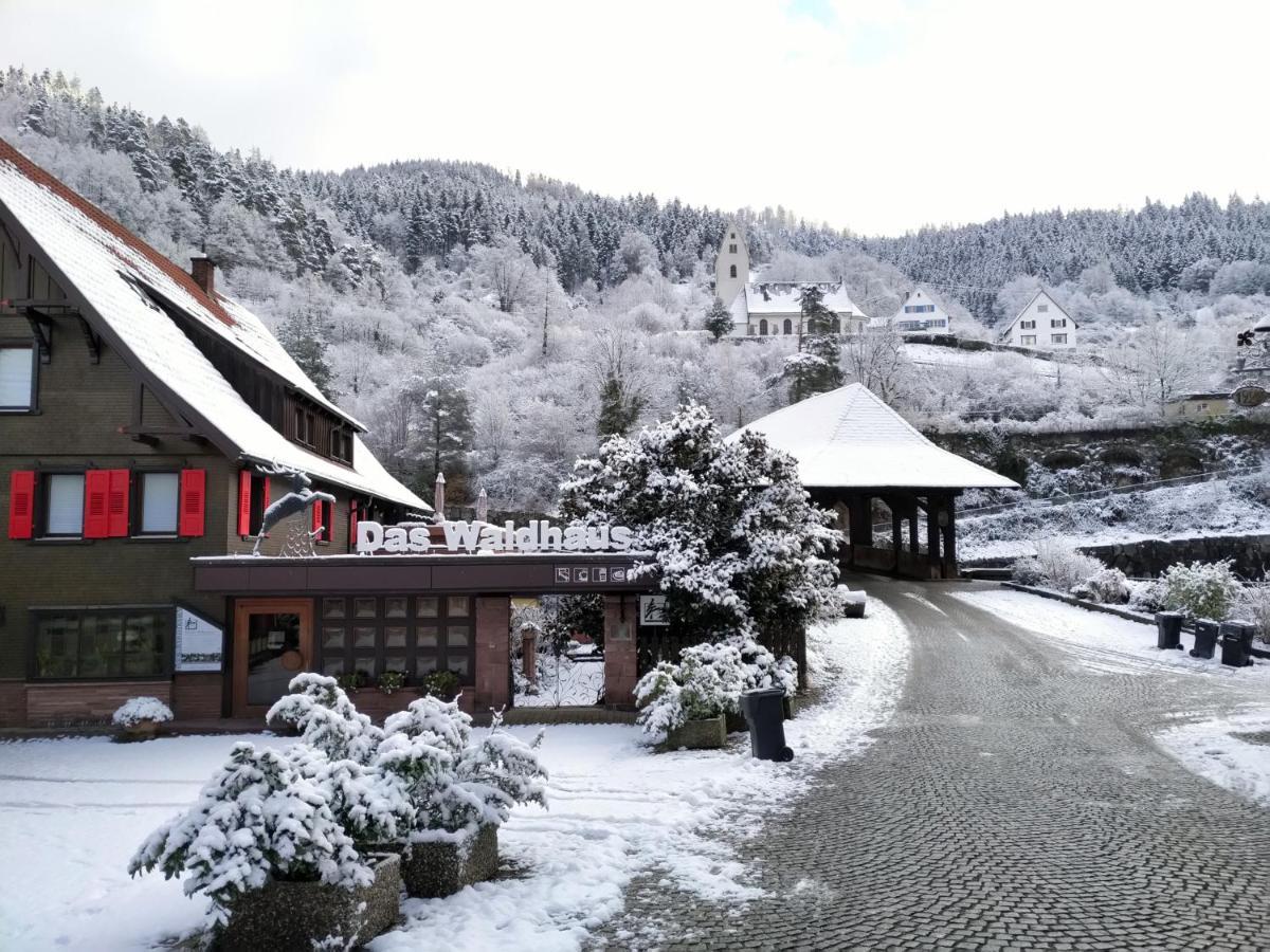 Das Waldhaus Forbach Exteriér fotografie