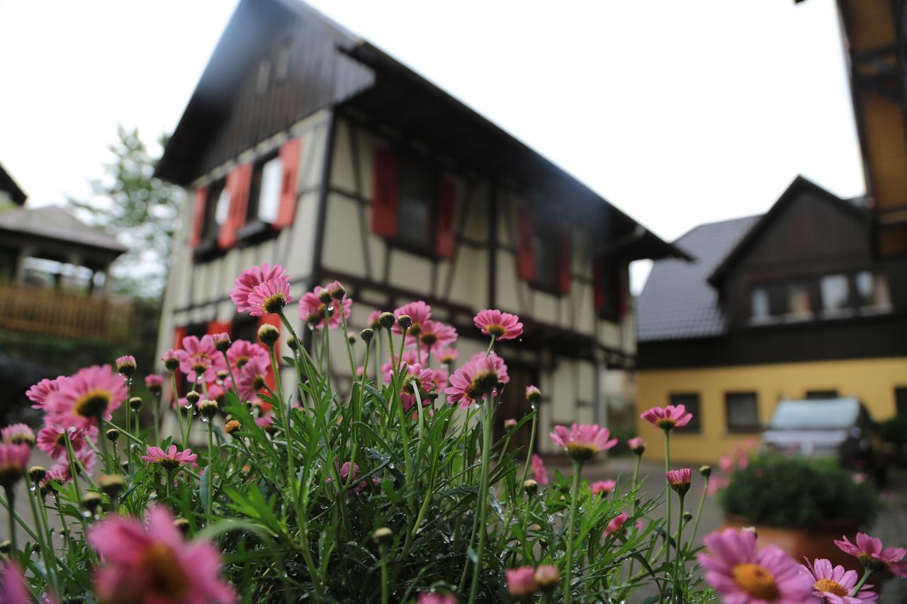 Das Waldhaus Forbach Exteriér fotografie